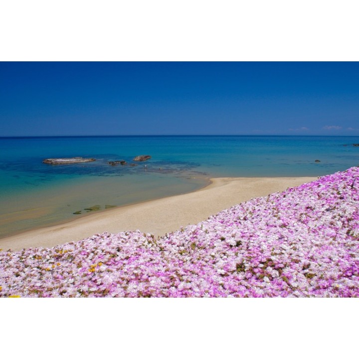 Köln Bonn - Castelsardo - Hotel Residence Ampurias