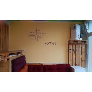 Köln Bonn - Dresden - FOX BOX I Capsule Apt