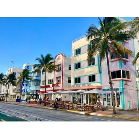 Kreuzfahrten Karibik : Karibik Kreuzfahrt mit MSC Divina ab/an Miami