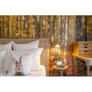 La Maison Hôtel Mulhouse Centre