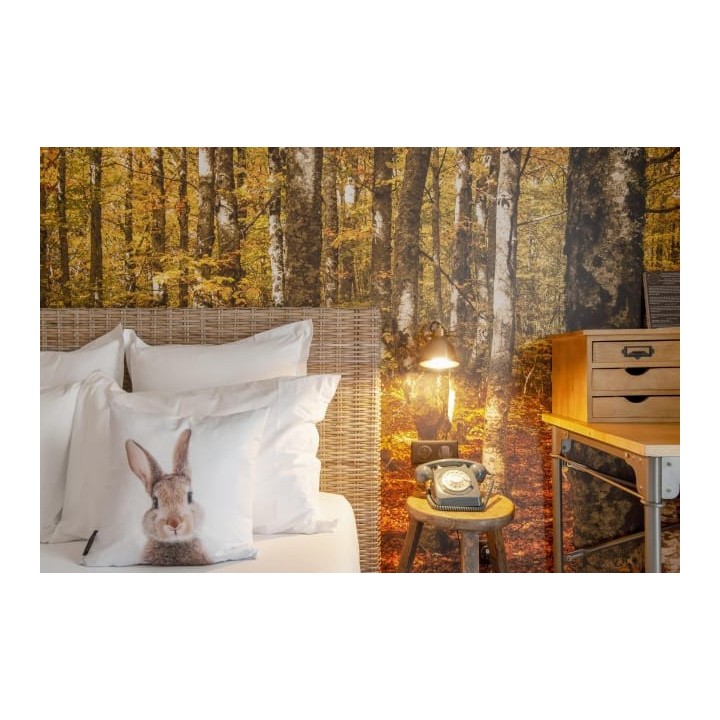 La Maison Hôtel Mulhouse Centre