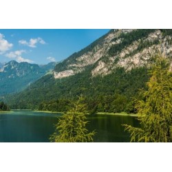 Landgasthof Astner