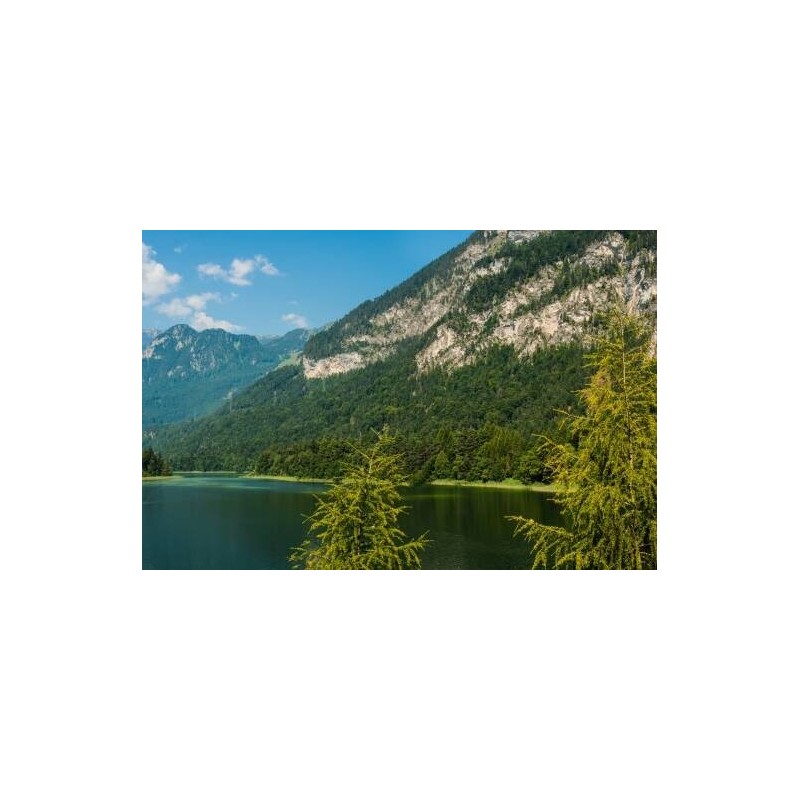 Landgasthof Astner
