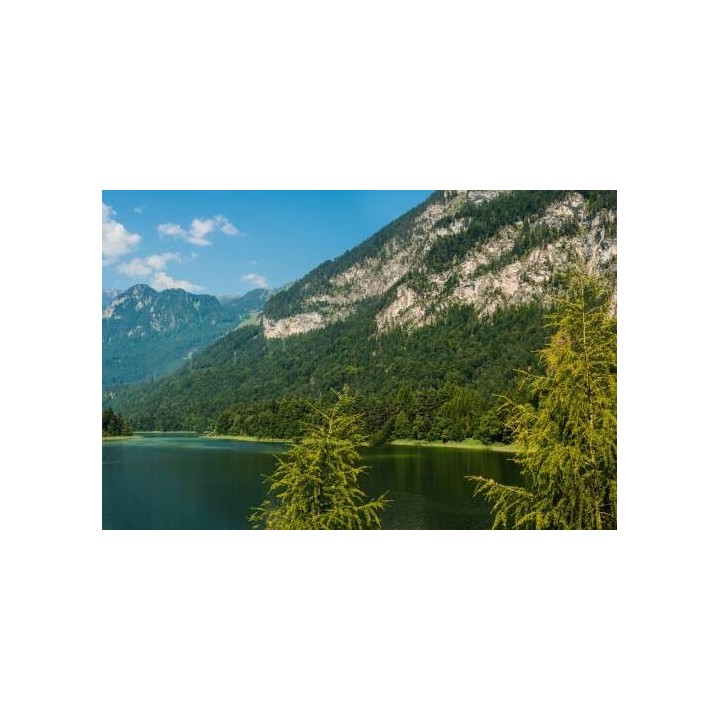 Landgasthof Astner