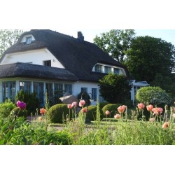 Landhotel Kastanienallee
