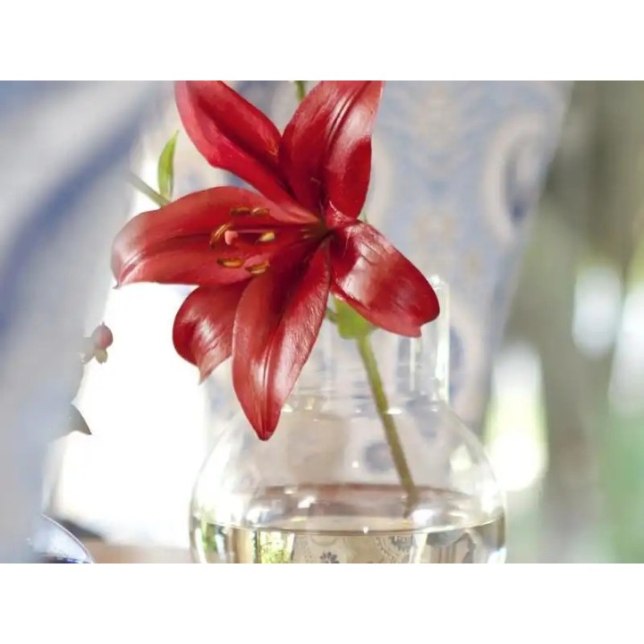 L'Avenir Country Lodge