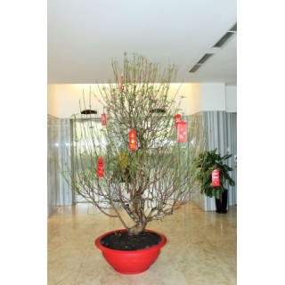 Liberty Saigon Greenview