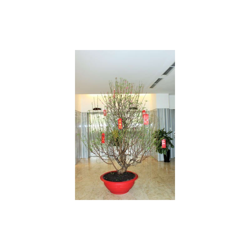 Liberty Saigon Greenview