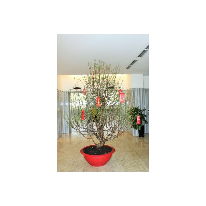 Liberty Saigon Greenview