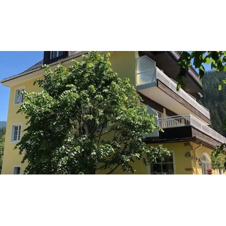 Lindenhof