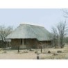 Mopani Rest Camp