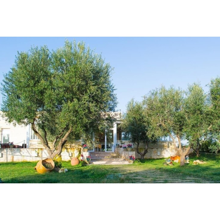 Memmingen - Carovigno - Hotel Reverse