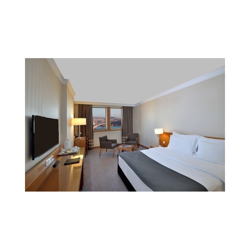 Mercure Istanbul The Plaza Bosphorus Hotel