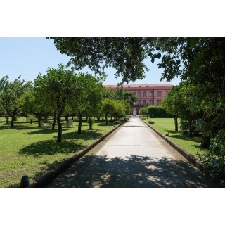 Miglio d'Oro Park Hotel