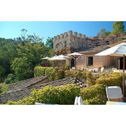 Monte Turri