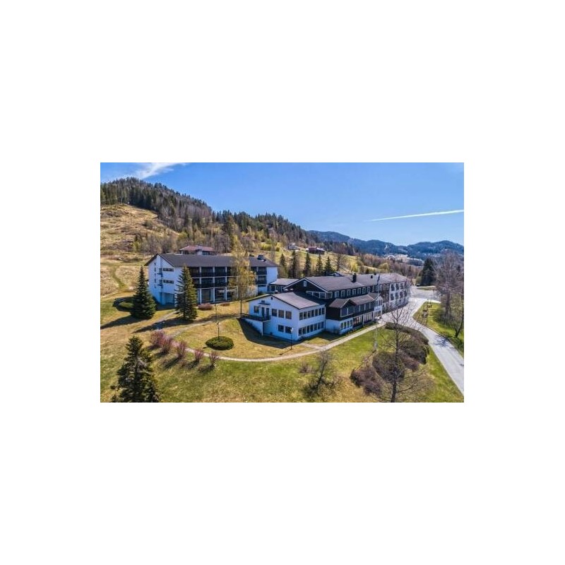 Morgedal Hotel