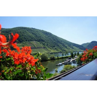 Moselhotel & Restaurant Traube