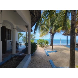 München - Jambiani - Oasis Beach Inn