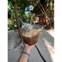 München - Michamvi - Eden Paradise