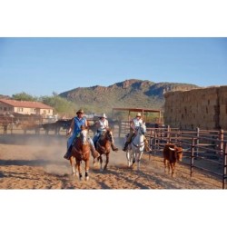 White Stallion Ranch
