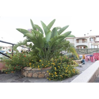 Nürnberg - Chia - Hotel Jasmine