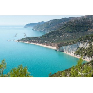 Pizzomunno Vieste Palace Hotel