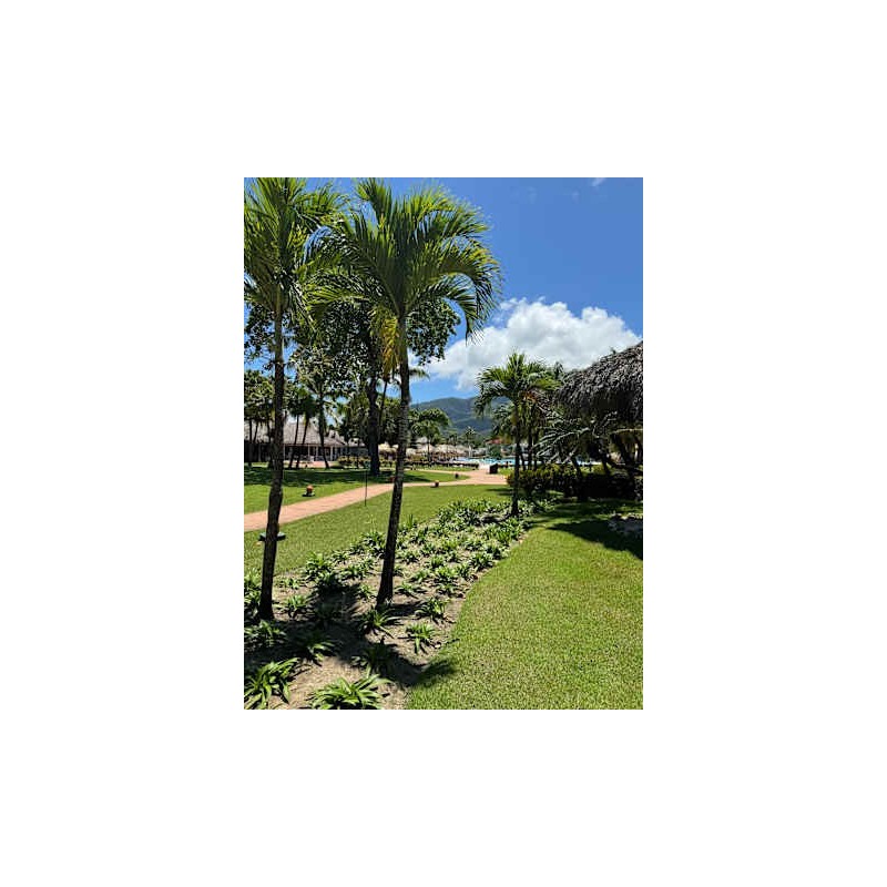 Marien Puerto Plata