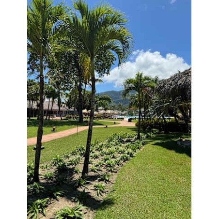 Marien Puerto Plata