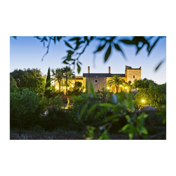 Principal Son Amoixa