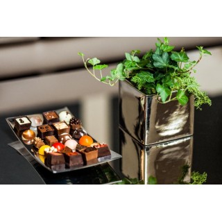 Queen Boutique Hotel