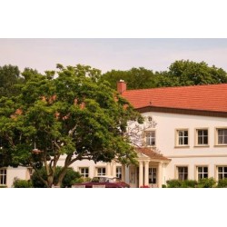 Relais & Chateaux Gutshaus Stolpe
