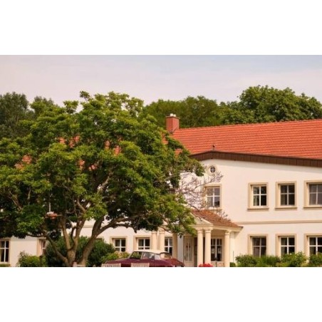 Relais & Chateaux Gutshaus Stolpe