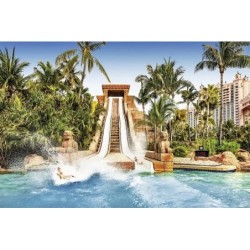 The Reef at Atlantis