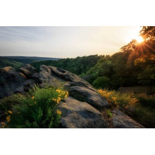 Residenz Hotel Harzhöhe