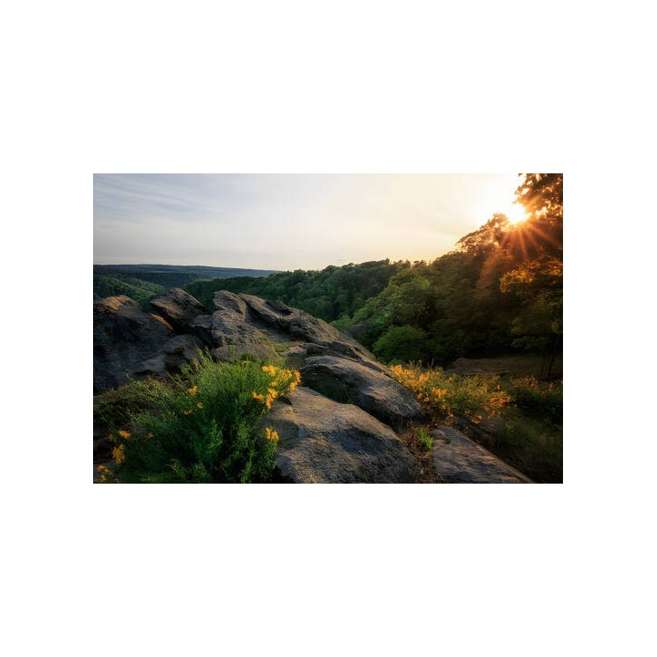 Residenz Hotel Harzhöhe