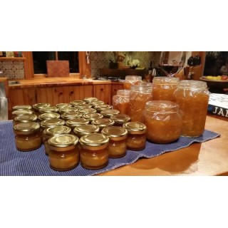 Riverside Homestead Waitangi