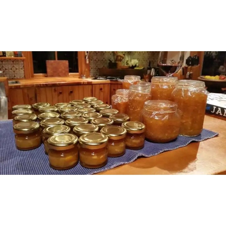 Riverside Homestead Waitangi