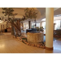 Ròseo Hotel Assisi