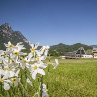 Ruhe und Entspannung in traumhafter Naturkulisse im Ausseerland