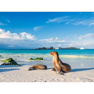 Rundreisen Ecuador & Galápagos-Inseln: Naturwunder hautnah erleben