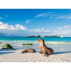 Rundreisen Ecuador & Galápagos-Inseln: Naturwunder hautnah erleben