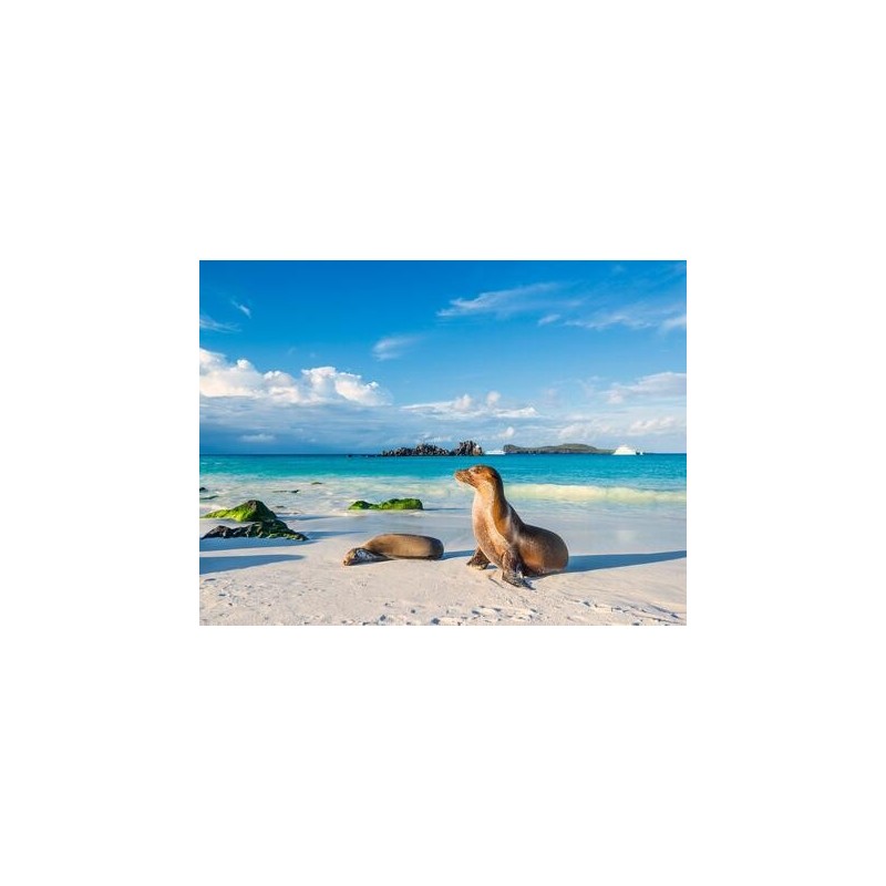 Rundreisen Ecuador & Galápagos-Inseln: Naturwunder hautnah erleben
