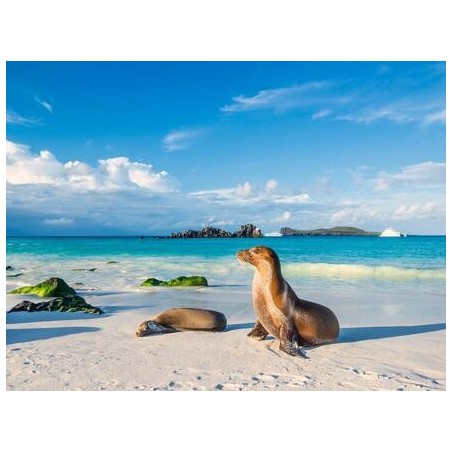 Rundreisen Ecuador & Galápagos-Inseln: Naturwunder hautnah erleben