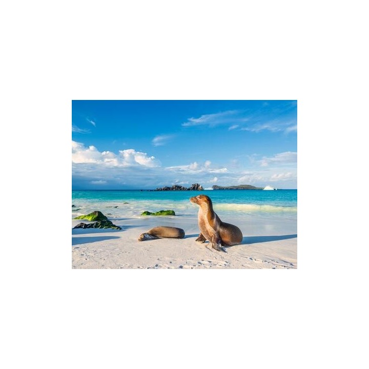 Rundreisen Ecuador & Galápagos-Inseln: Naturwunder hautnah erleben