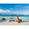 Rundreisen Ecuador & Galápagos-Inseln: Naturwunder hautnah erleben