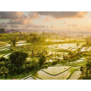 Rundreisen Indonesien - Bali Nord & Süd : Baustein-Rundreise ab/bis Denpasar: Tempelzauber und Tropenvielfalt