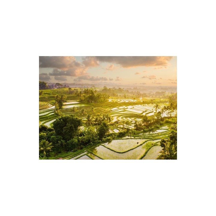 Rundreisen Indonesien - Bali Nord & Süd : Baustein-Rundreise ab/bis Denpasar: Tempelzauber und Tropenvielfalt