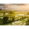 Rundreisen Indonesien - Bali Nord & Süd : Baustein-Rundreise ab/bis Denpasar: Tempelzauber und Tropenvielfalt