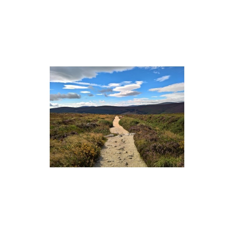 Rundreisen Irland : Baustein-Rundreise ab/an Dublin: Wandern in den Wicklow Mountains