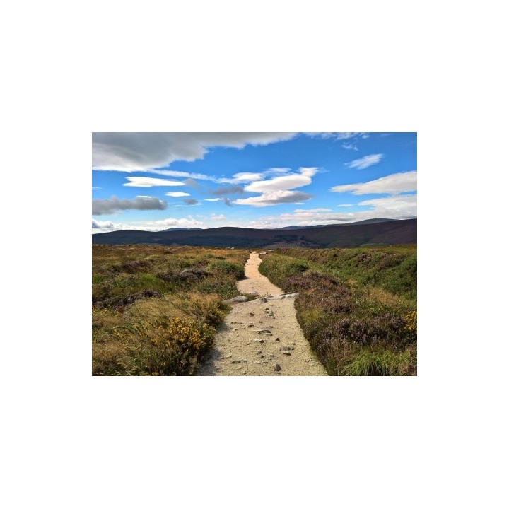 Rundreisen Irland : Baustein-Rundreise ab/an Dublin: Wandern in den Wicklow Mountains